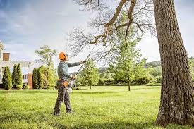 Best Tree Mulching  in White Marsh, MD