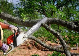 Best Weed Control  in White Marsh, MD